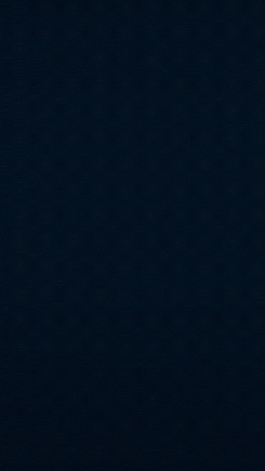 Athlete pole vaulter sprints over pole