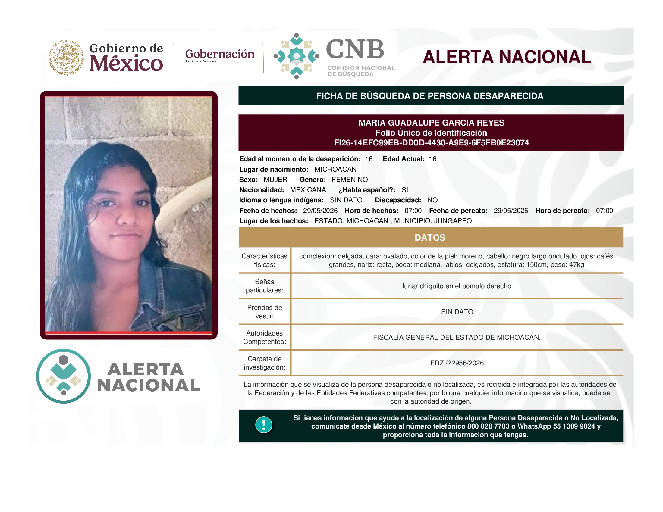 maria guadalupe